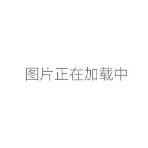 Gilson吉尔森P10M单道电动移液器